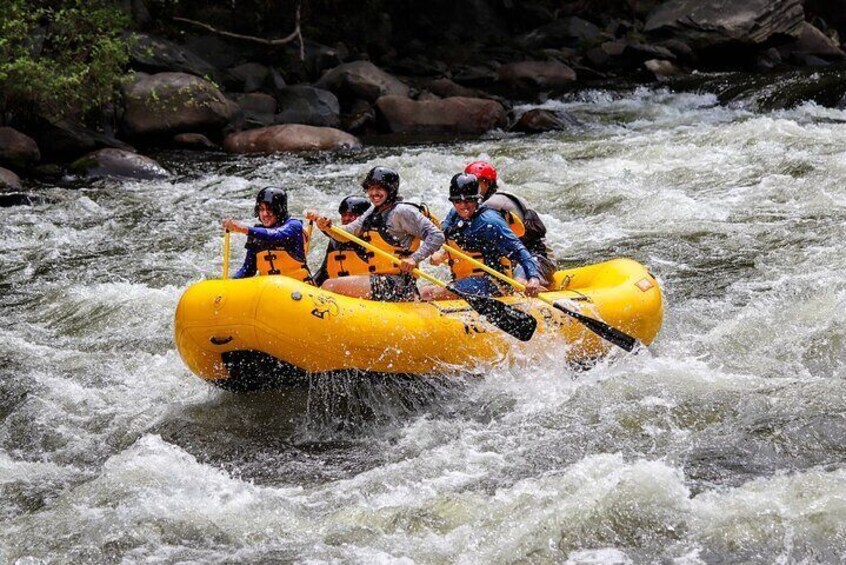 Upper Pigeon Adventure | Smoky Mountain River Rat
Suitable for ages 8+. No experience necessary.
>>For extra availability and trip times, call 865-448-8888 or visit AtTheRat.com