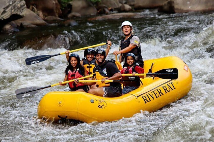 Upper Pigeon Adventure | Smoky Mountain River Rat
Suitable for ages 8+. No experience necessary.
>>For extra availability and trip times, call 865-448-8888 or visit AtTheRat.com