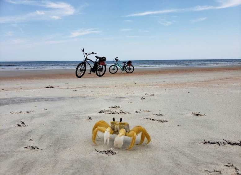 Picture 8 for Activity Daytona Beach: E-Bike Tour on the World's Most Famous Beach