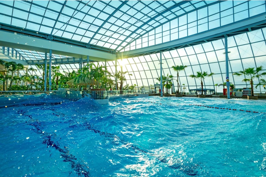 Picture 14 for Activity Krakow: Day Tip to Suntago Water Park