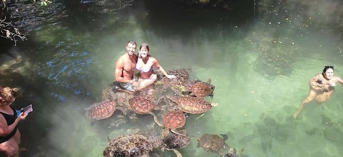 Zanzibar: Noordkust en schildpaddenreservaat tour