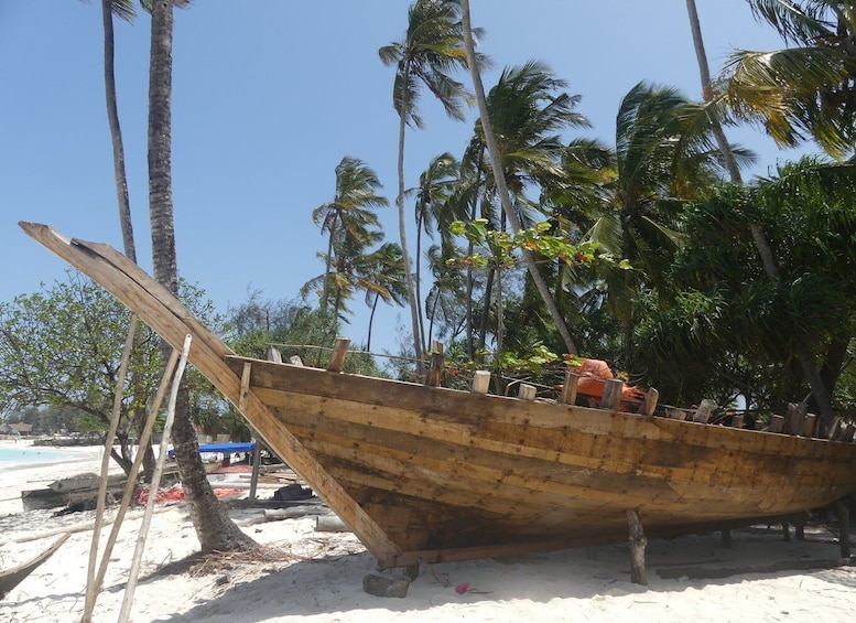 Picture 2 for Activity Zanzibar: North Coast and Turtle Sanctuary Tour