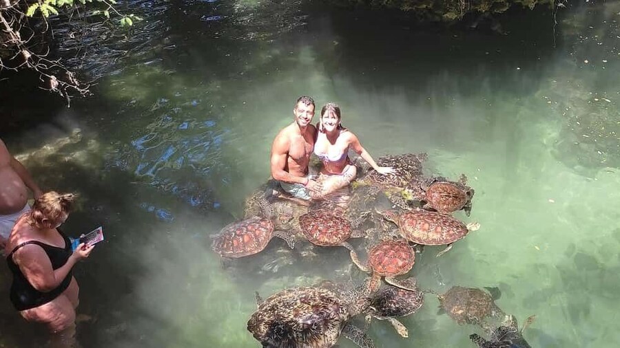 Zanzibar: North Coast and Turtle Sanctuary Tour