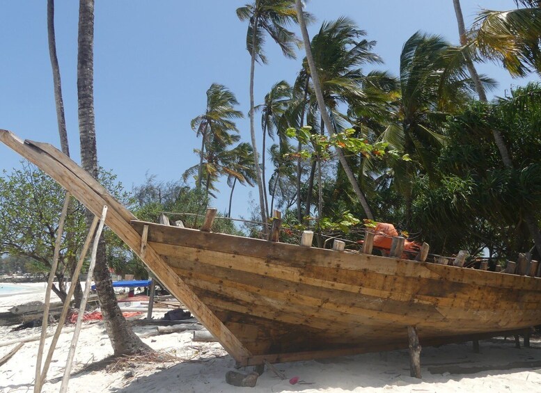 Picture 2 for Activity Zanzibar: North Coast and Turtle Sanctuary Tour