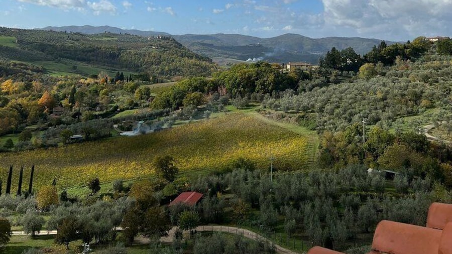 Chianti Wine Tastings and Visit to 3 Cellars with Lunch&Transfer