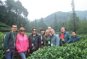 Private Tour of Lingyin Temple, Dragon Well Tea Plantation & West Lake