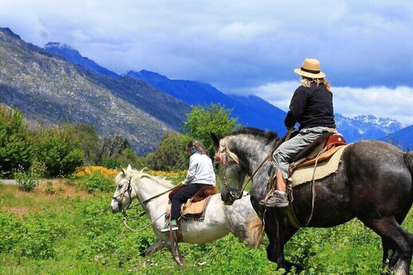 Half Day Horseback Riding Adventure from Antioquia