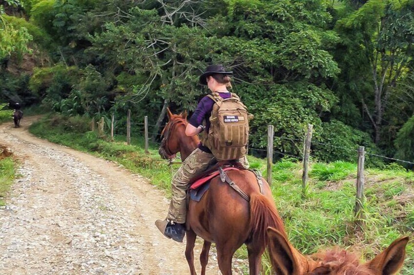 Medellin: Horseback Riding Adventure (Wonderful Nature)