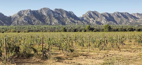 Arles, Saint-Rémy & Les Baux De Provence: Guided Tour