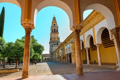 Moskén och katedralen i Cordoba: Guidad tur: Hoppa över linjen
