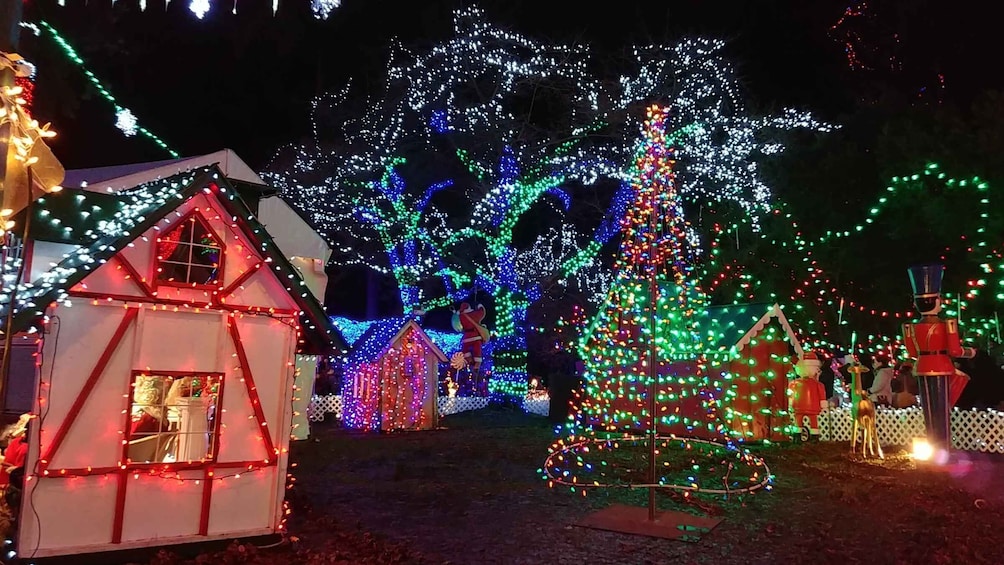 Picture 2 for Activity Vancouver: Christmas Tour with Light Festival Entrance