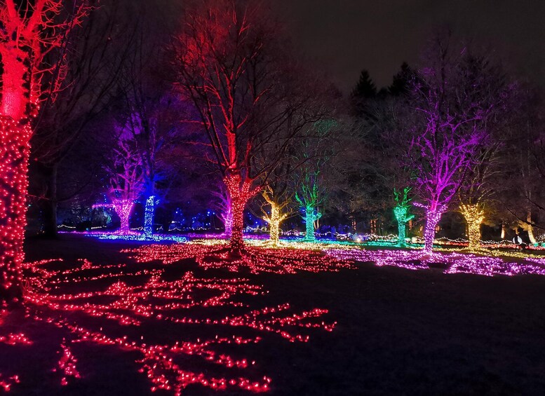 Picture 5 for Activity Vancouver: Christmas Tour with Light Festival Entrance