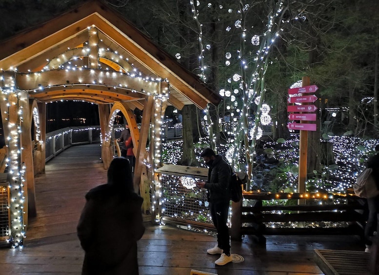 Picture 9 for Activity Vancouver: Christmas Tour with Light Festival Entrance