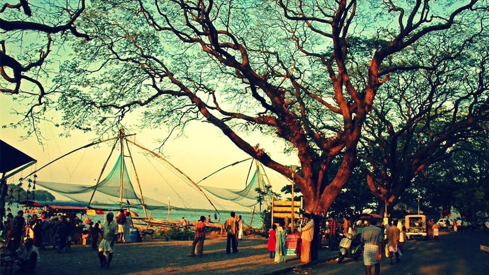 Picture 3 for Activity Fort Kochi & Mattanchery 3-Hour Walking Tour