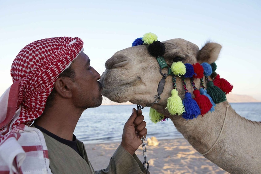 Picture 5 for Activity Agadir/Taghazout: Camel Riding and Flamingo River Tour