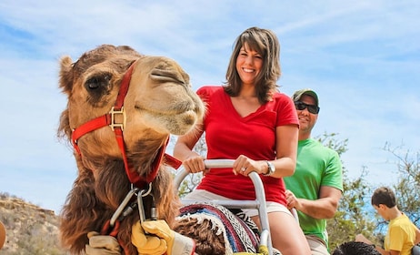 Agadir/Taghazout: Kamelritte mit Teetrinken und Transfers