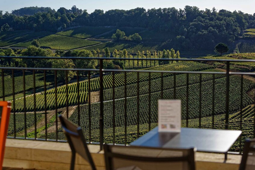 Picture 3 for Activity Saint-Emilion: Grand Cru Classé Gourmet Visit