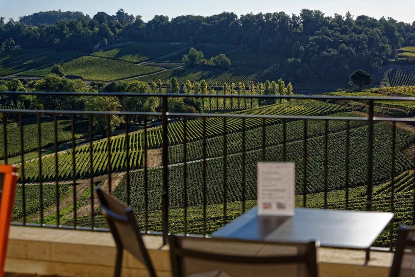 Picture 5 for Activity Saint-Emilion: Wine & Food Tasting at the Chateau’s Terrace