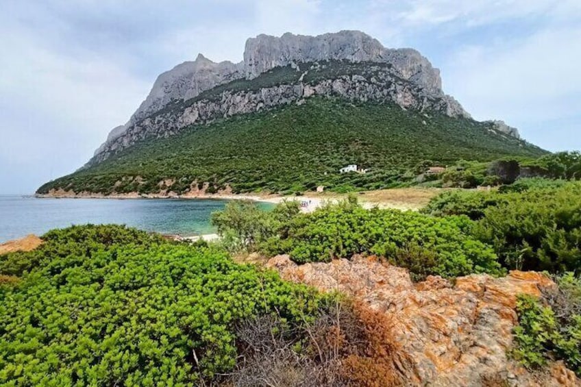 Tavolara: Gran Tour of the Archipelago from San Teodoro