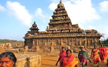 Mahabalipuram and Kanchipuram Private Caves & Temples Tour