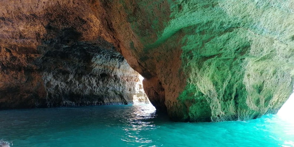 Picture 4 for Activity Portimão: Benagil Sea Caves Speedboat Adventure Tour