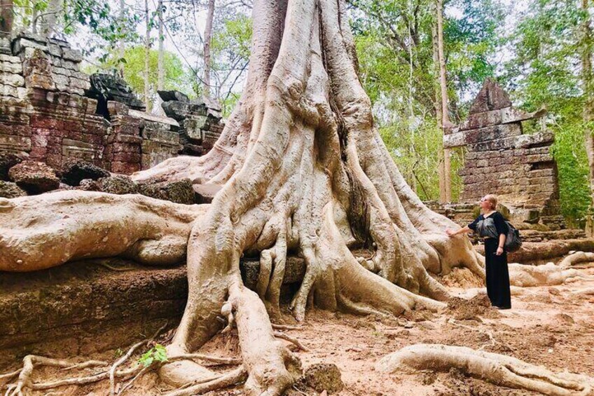Private 18-Day Explore Cambodia Angkor Temple Seaside Small Group