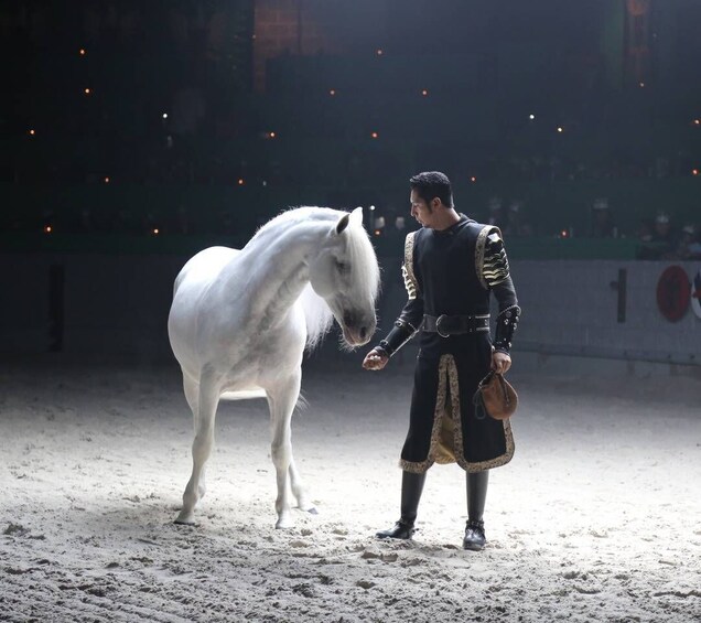 Picture 4 for Activity Orlando: Medieval Times Dinner and Show Ticket