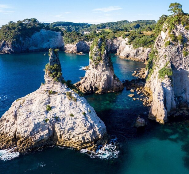 Picture 10 for Activity Whitianga: Cathedral Cove 2 Hour Boat Cruise