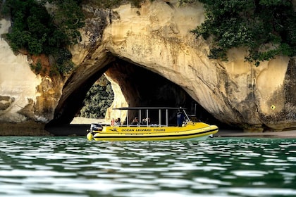 Whitianga: 2-Hour Cathedral Cove and Volcanic Coast Cruise