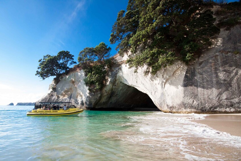 Picture 7 for Activity Whitianga: Cathedral Cove 2 Hour Boat Cruise