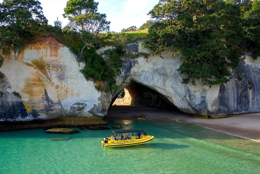 Picture 3 for Activity Whitianga: Cathedral Cove 2 Hour Boat Cruise