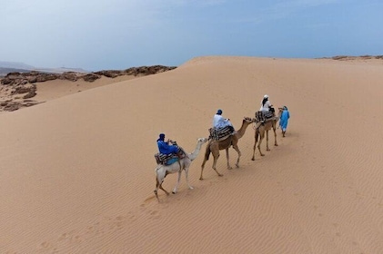 Agadir Sand Dunes and Camel Ride in Tifnit with Lunch