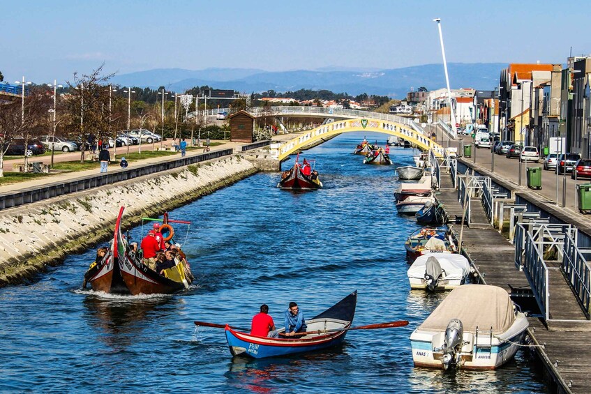 Picture 2 for Activity Aveiro: Traditional Moliceiro Boat Tour