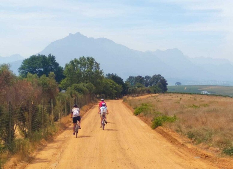 Picture 1 for Activity Stellenbosch: Devon Valley Vineyards Bicycle Tour w. Lunch