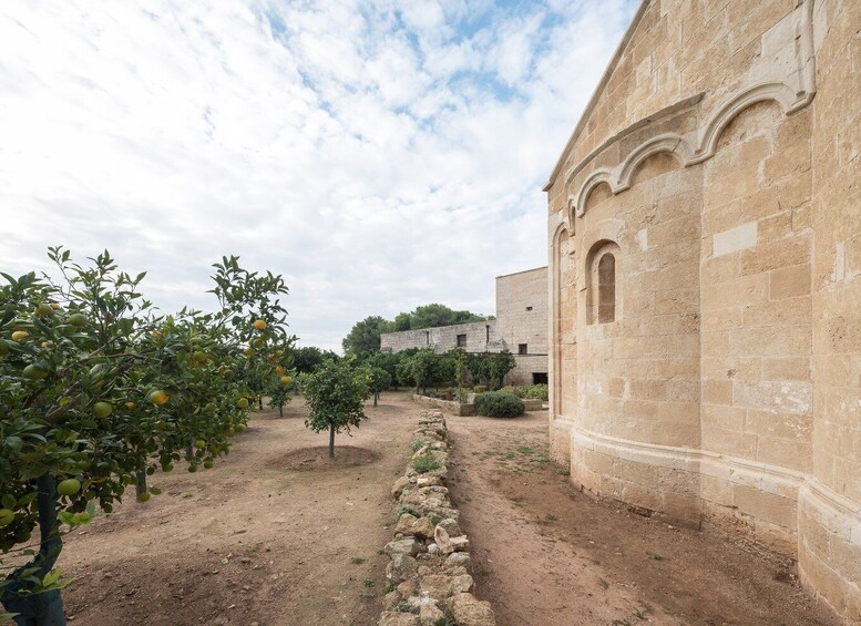 Picture 3 for Activity Lecce: Abbey of Santa Maria di Cerrate Entry Ticket