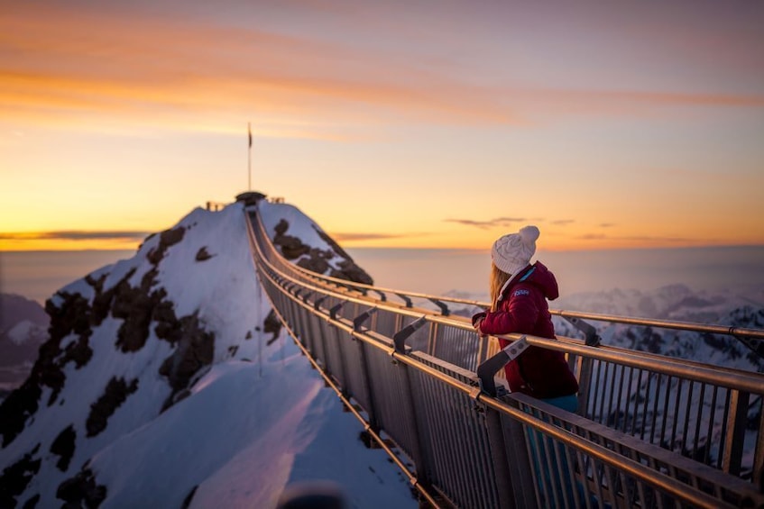 Glacier 3000 & Montreux from Geneva