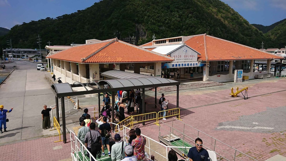 Picture 8 for Activity Naha: Day Trip to Tokashiki Island with Lunch