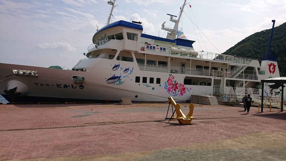 Picture 5 for Activity Naha: Day Trip to Tokashiki Island with Lunch