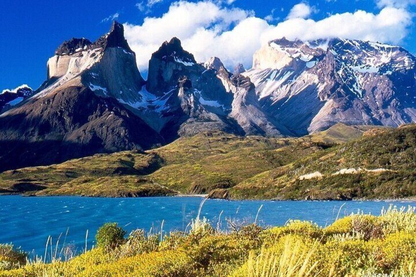 Patagonia National Park Full Day Private Tour