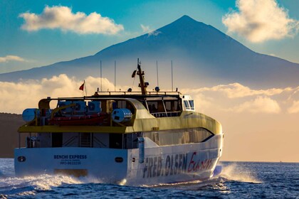 カナリア諸島ラ・ゴメラ島内航路のフェリー乗船券