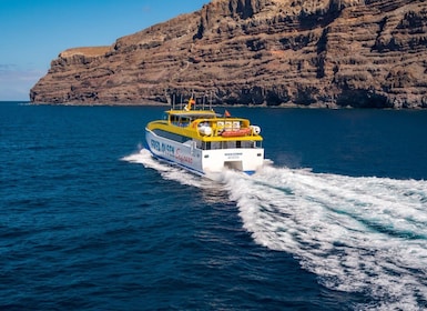 La Gomera: Billete de Ferry Interno de Ida y Vuelta