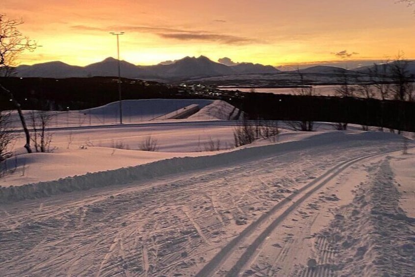 Experience Cross-Country Adventure in Tromsø