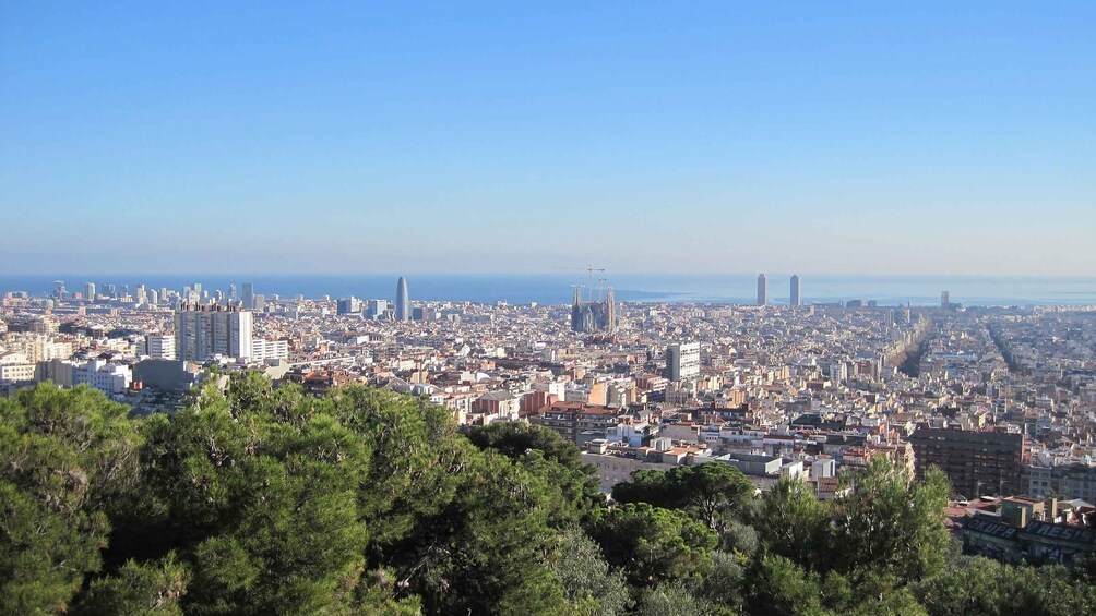 Picture 3 for Activity Barcelona: Park Güell Guided Tour