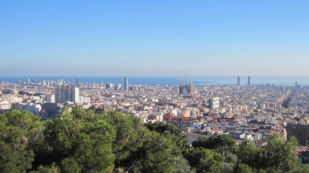 Picture 3 for Activity Barcelona: Park Güell Guided Tour