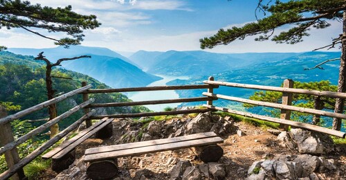 Från Belgrad: Tara National Park & Drina River Valley Tour