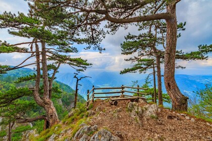 From Belgrade: Tara National Park & Drina River Valley Tour