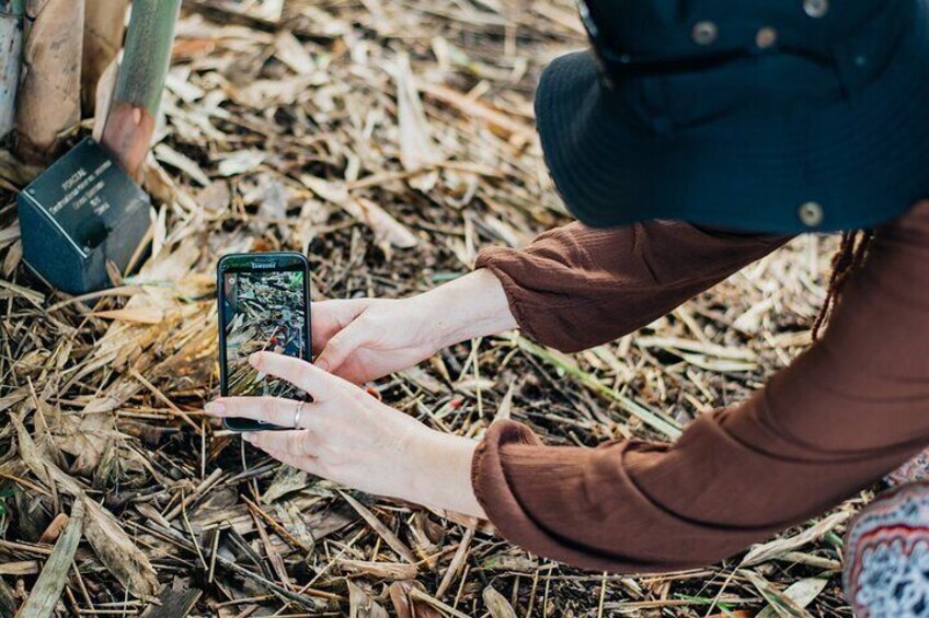Use your mobile phone or hire a camera