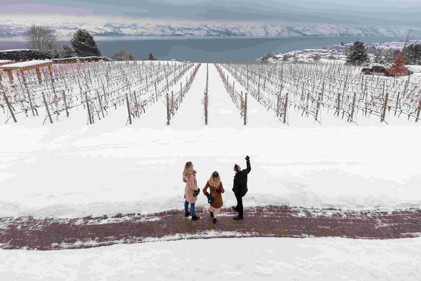 West Kelowna Wine Tour with Wine Tastings and Lunch