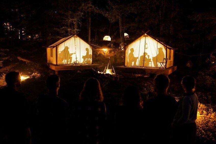An incredible multi-media night walk through the forest
