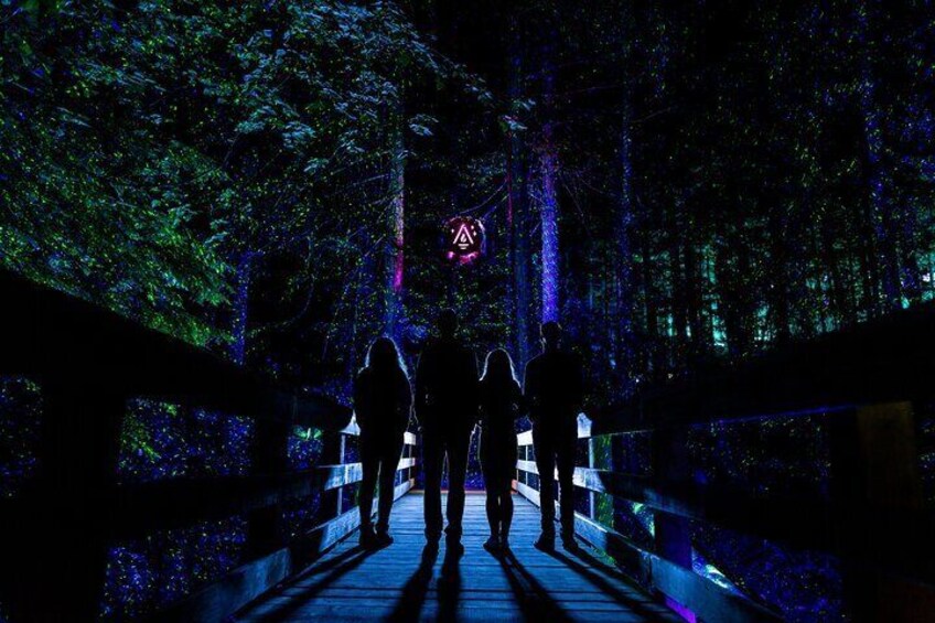 Experience a world of hidden wonders and beautiful lights.